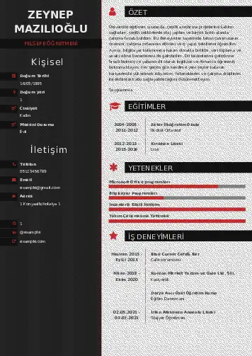 Felsefe Öğretmeni CV Örnekleri cv indir